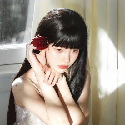 刺杀本·拉登