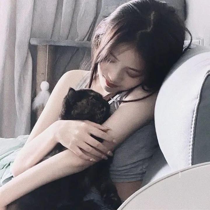 以盗治盗