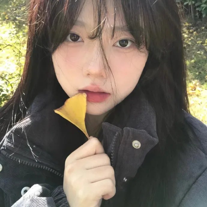 法不容情